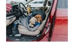 ALPS Mountaineering Aura 20 Sleeping Bag -Outdoor Camping Equipment Store opplanet alps mountaineering aura 20 sleeping bag regular gray charcoal 4611933 av 3