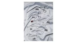 EMI Kelly Forceps Straight 6 1/4