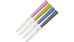 Opinel Table Knife Four Piece Set